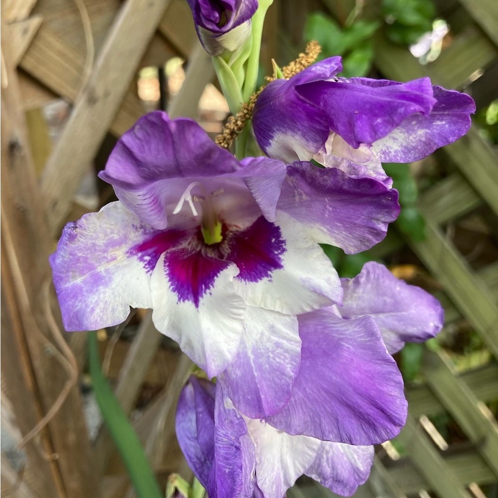 Meet your Posher, Rebekah